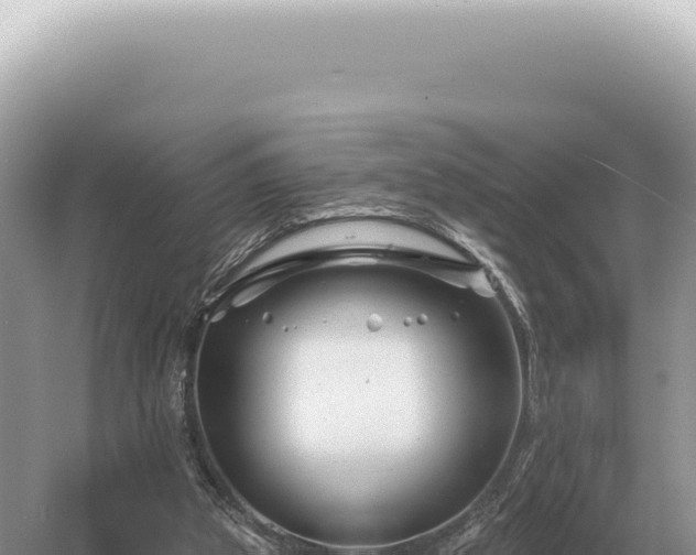 X0000054420153200508051815