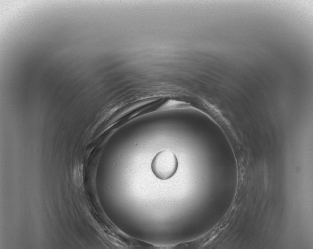 X0000054420154200508051815