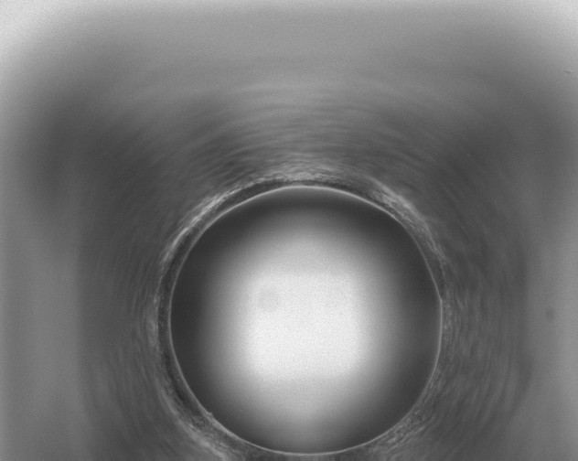 X0000054420155200508051815