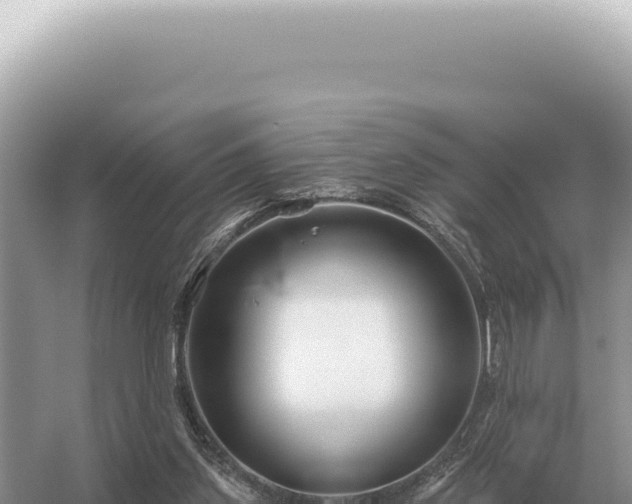 X0000054420157200508051815