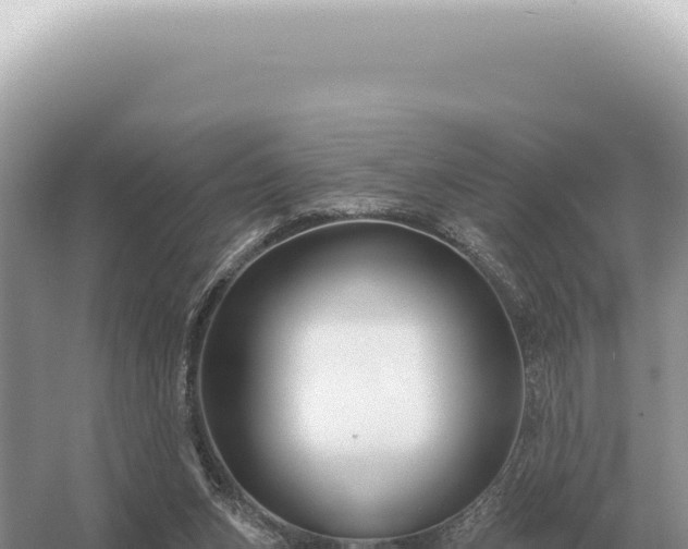 X0000054420159200508051815