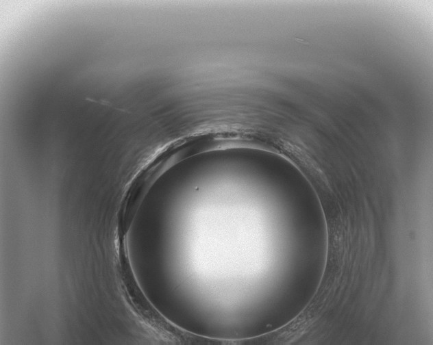 X0000054420160200508051815