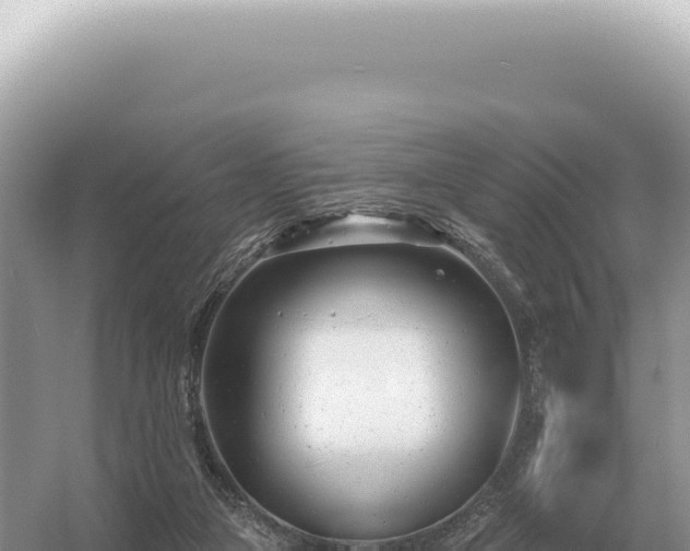 X0000054420161200508051815