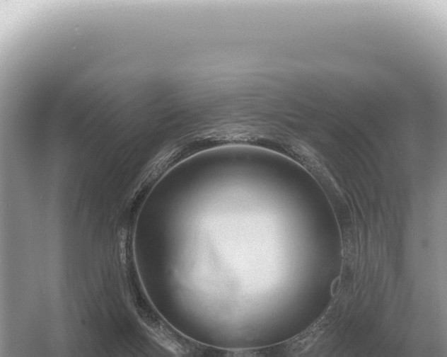 X0000054420167200508051815