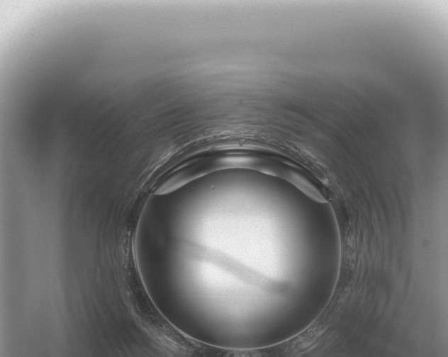 X0000054420168200508051815