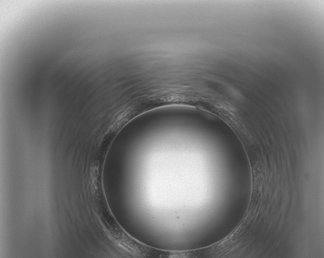 X0000054420171200508051815