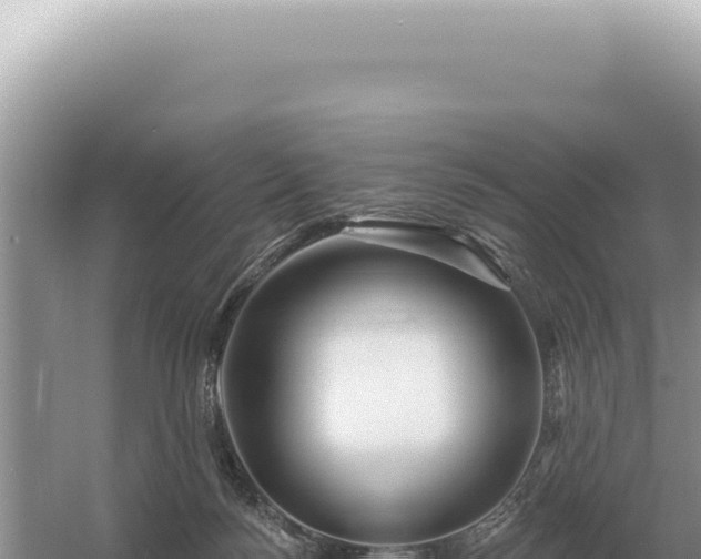 X0000054420172200508051815