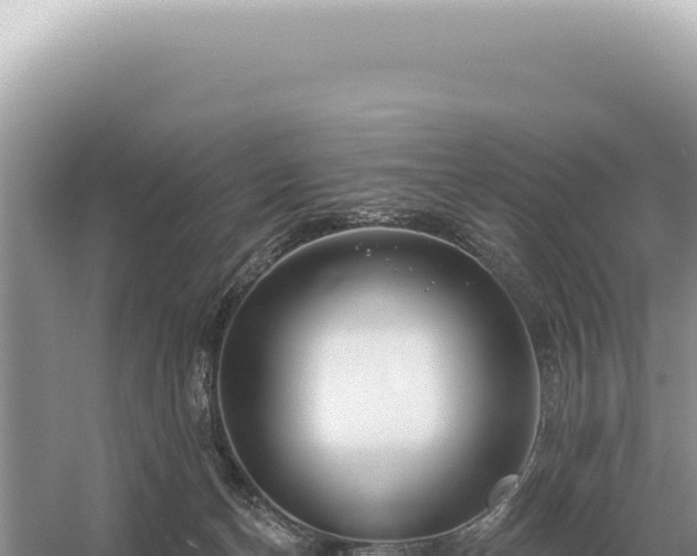 X0000054420174200508051815