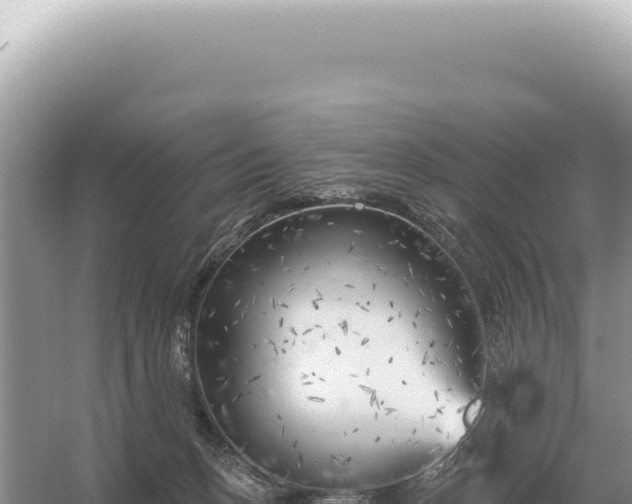 X0000054420175200508051815