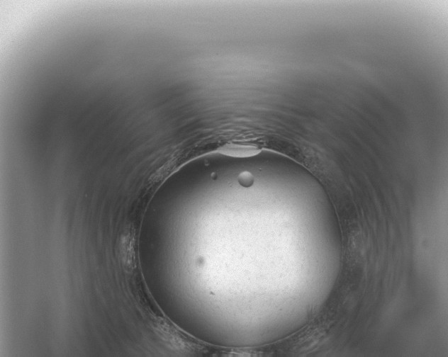 X0000054420177200508051815