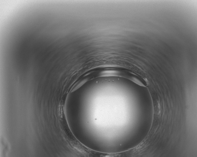 X0000054420180200508051815