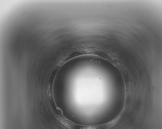 X0000054420182200508051815