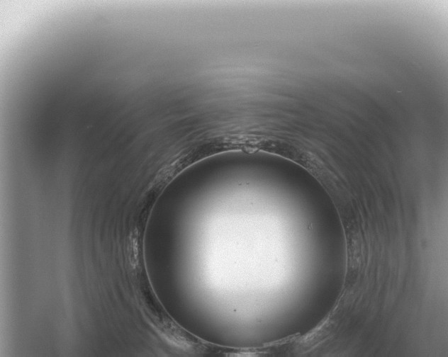 X0000054420183200508051815