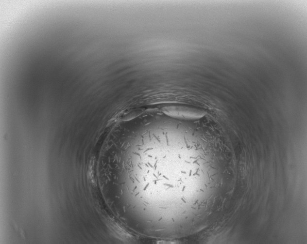 X0000054420185200508051815