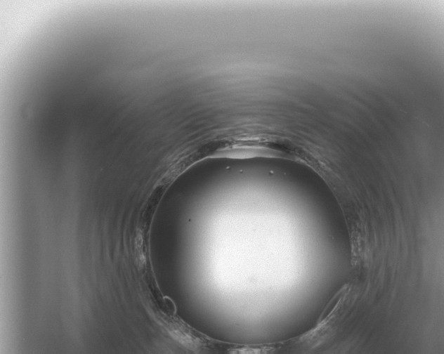 X0000054420187200508051815