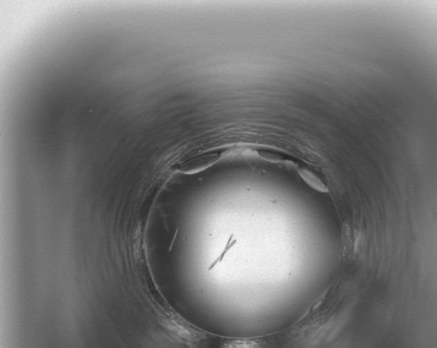 X0000054420189200508051815