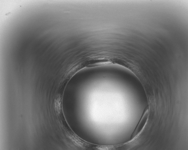 X0000054420190200508051815