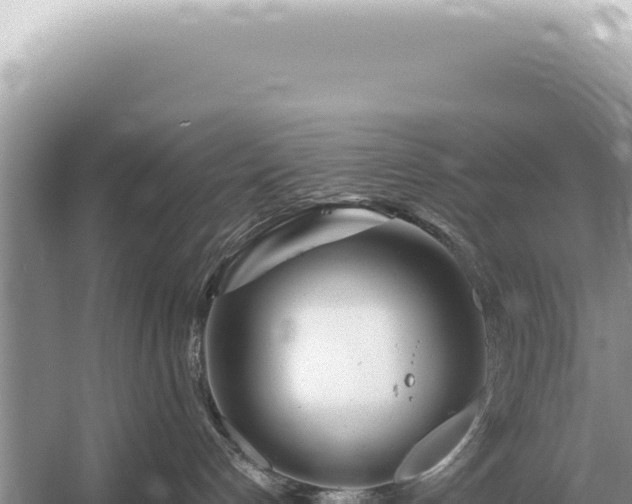 X0000054420192200508051815