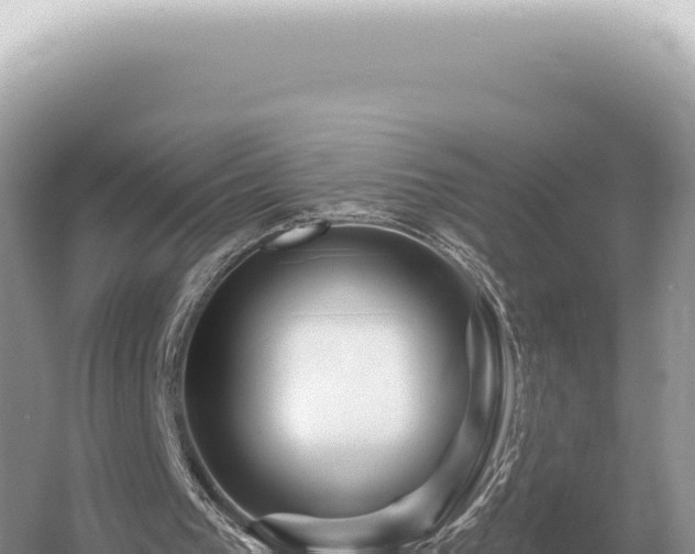 X0000054420193200508051815