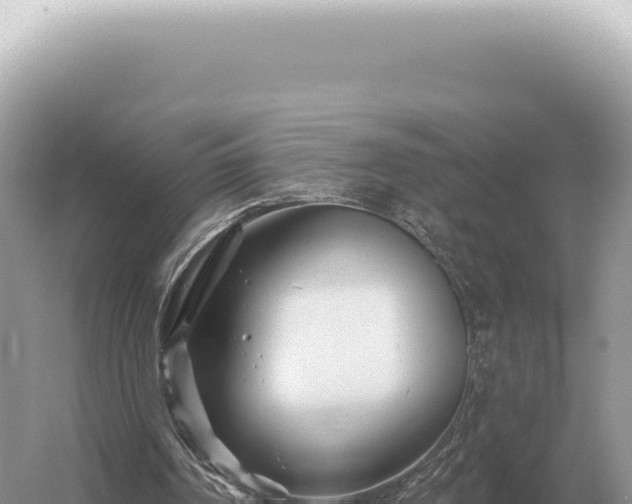 X0000054420194200508051815