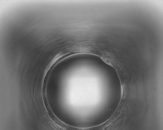 X0000054420195200508051815