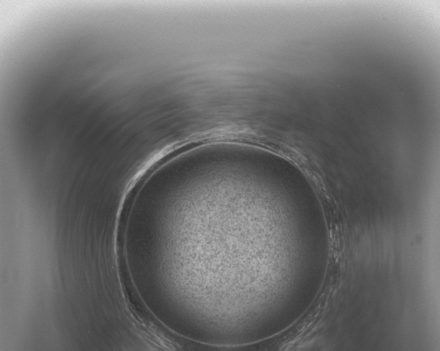 X0000054420196200508051815