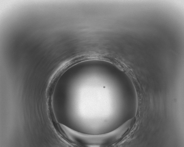 X0000054420197200508051815