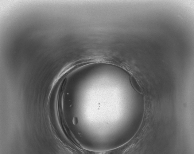 X0000054420198200508051815