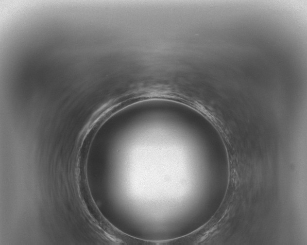 X0000054420199200508051815