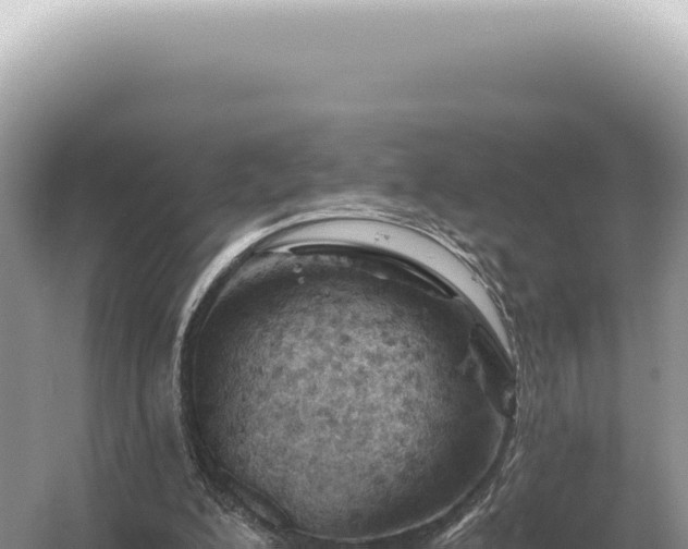 X0000054420200200508051814