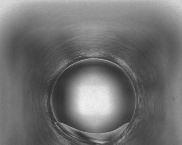 X0000054420201200508051814