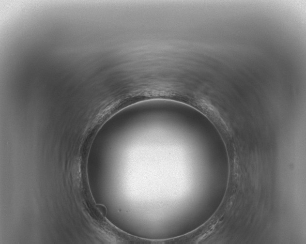 X0000054420202200508051814