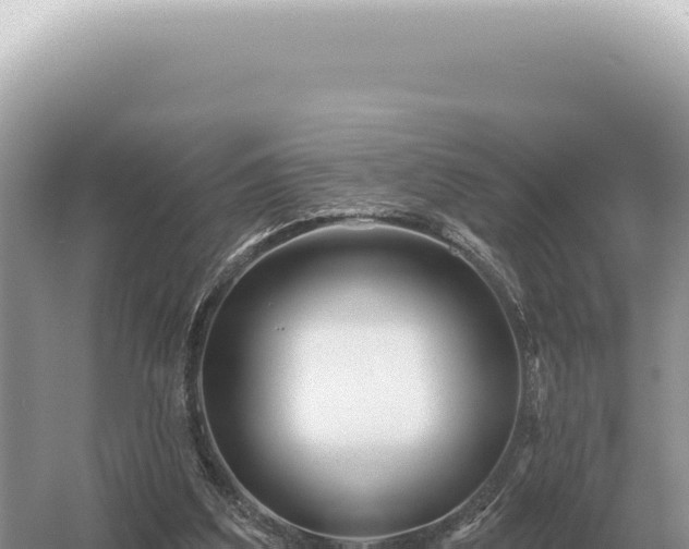 X0000054420203200508051814