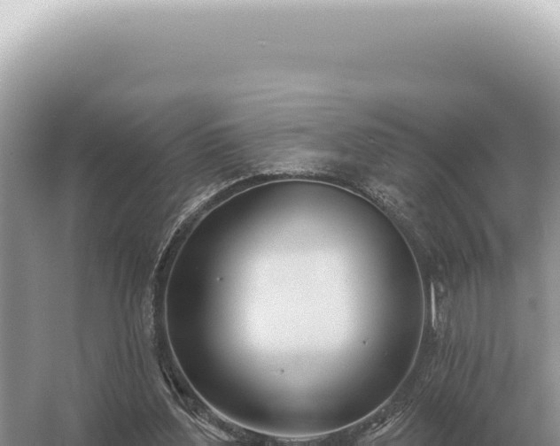 X0000054420204200508051814