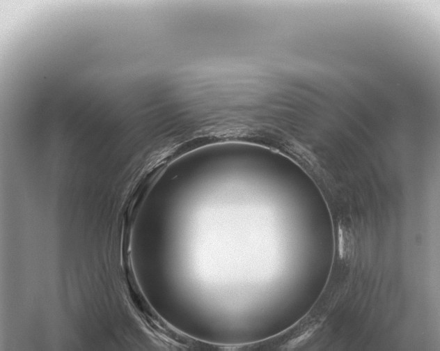 X0000054420205200508051814