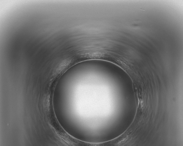 X0000054420206200508051814