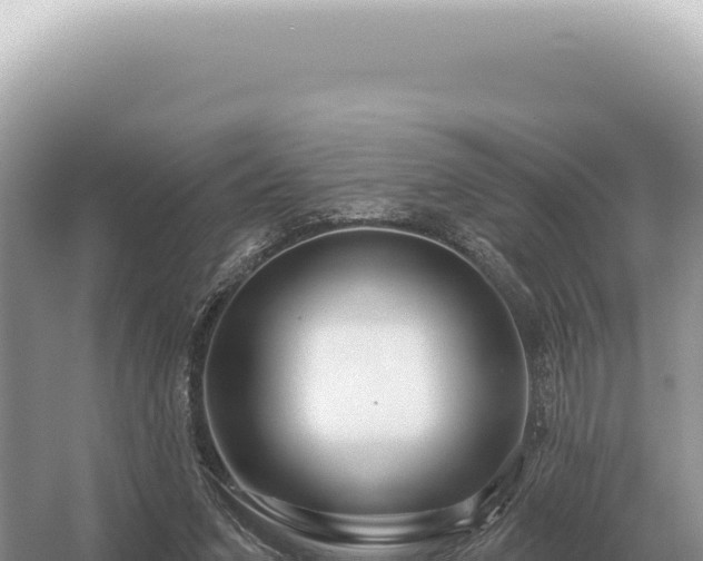 X0000054420207200508051814