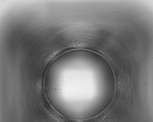 X0000054420208200508051814