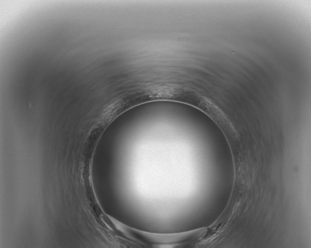 X0000054420209200508051814