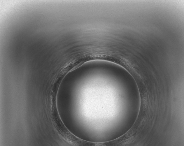 X0000054420211200508051814