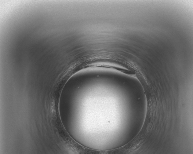 X0000054420212200508051814