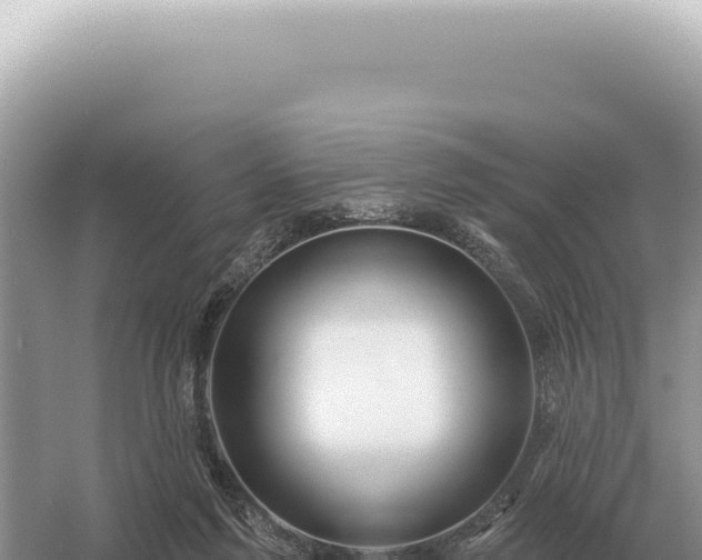 X0000054420213200508051814