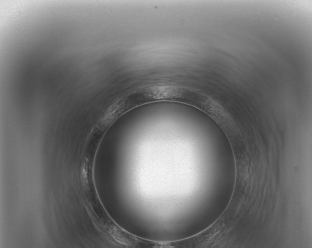 X0000054420214200508051814