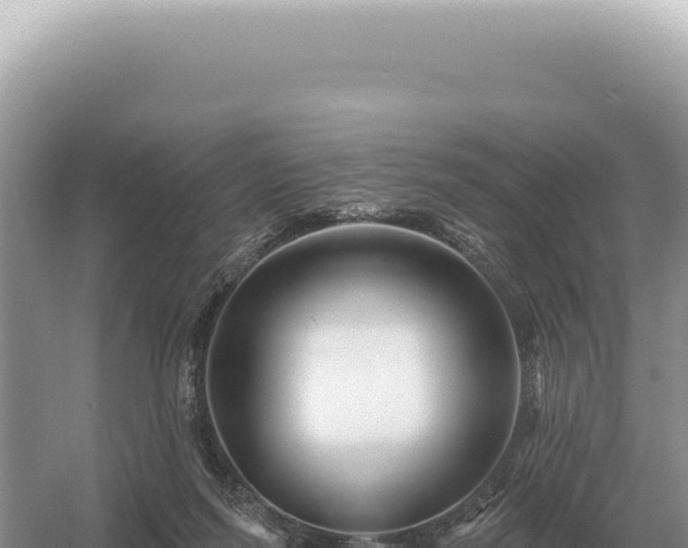 X0000054420215200508051814