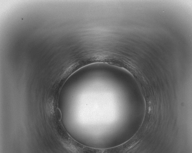 X0000054420216200508051814