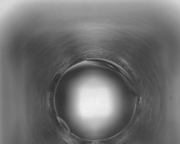 X0000054420217200508051814