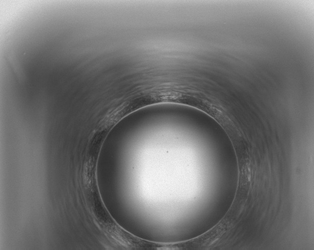 X0000054420218200508051814