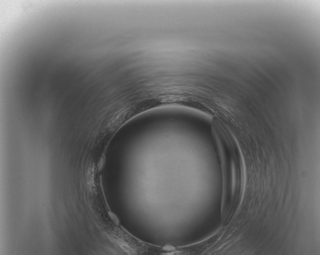 X0000054420219200508051814