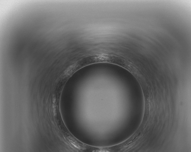 X0000054420223200508051814