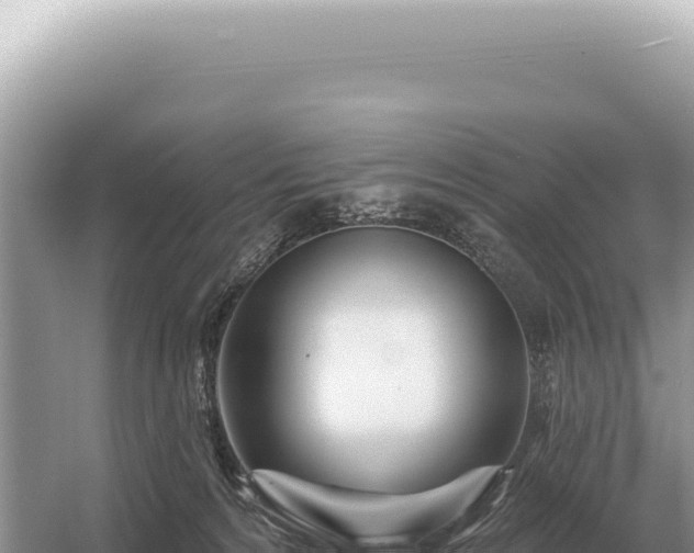 X0000054420224200508051814